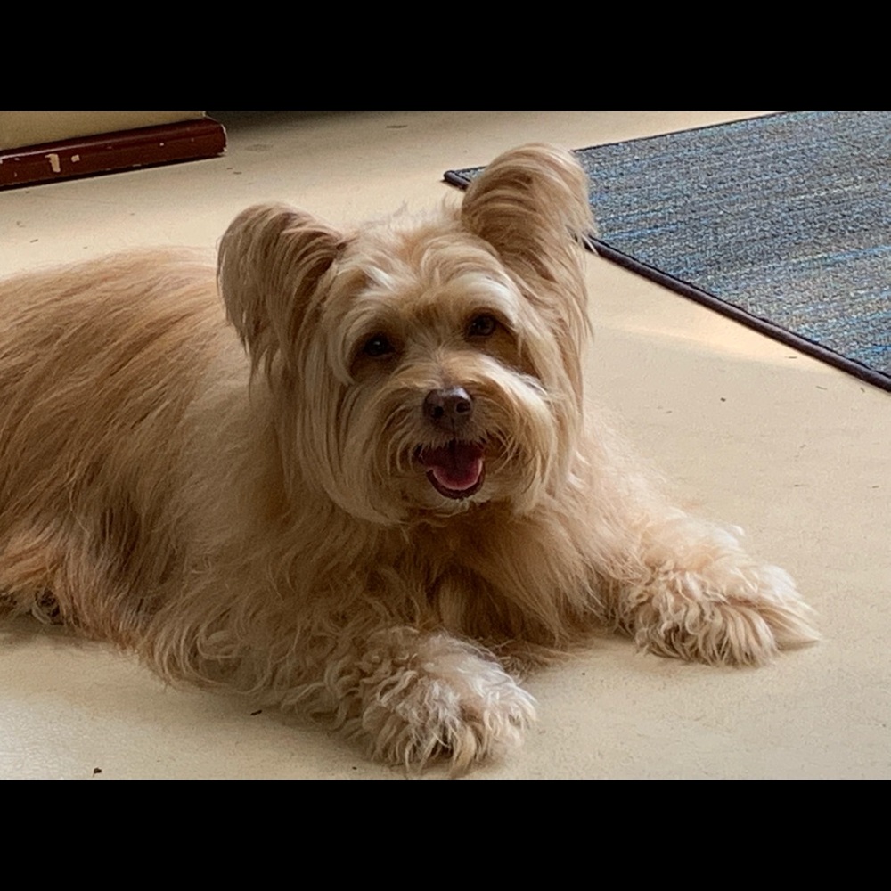 Meet your Posher, Beverly